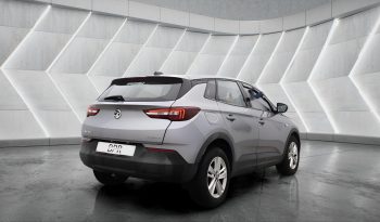 
										VAUXHALL GRANDLAND full									