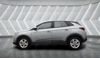 
										VAUXHALL GRANDLAND full									