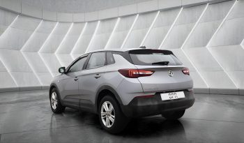 
										VAUXHALL GRANDLAND full									