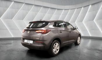 
										VAUXHALL GRANDLAND full									