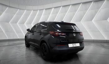 
										VAUXHALL GRANDLAND full									