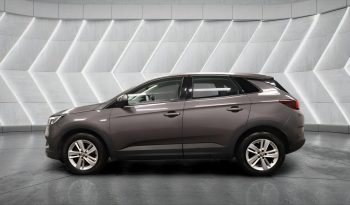 
										VAUXHALL GRANDLAND full									