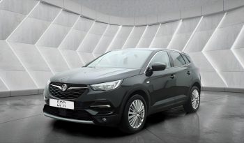 
										VAUXHALL GRANDLAND full									