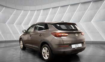 
										VAUXHALL GRANDLAND full									