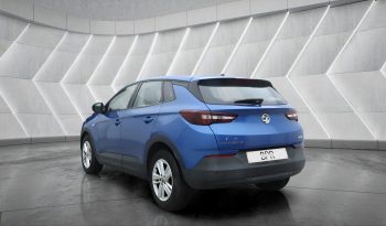 
										VAUXHALL GRANDLAND full									