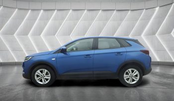 
										VAUXHALL GRANDLAND full									