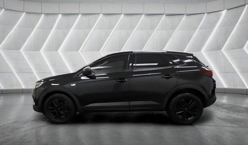 
								VAUXHALL GRANDLAND full									