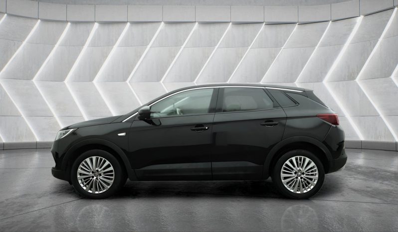 
								VAUXHALL GRANDLAND full									