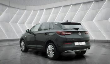 
										VAUXHALL GRANDLAND full									