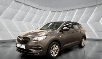 
										VAUXHALL GRANDLAND full									