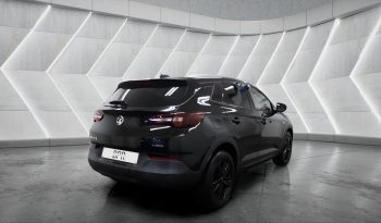 
										VAUXHALL GRANDLAND full									