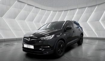 
										VAUXHALL GRANDLAND full									