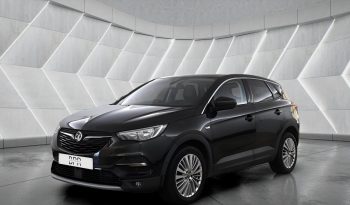 
										VAUXHALL GRANDLAND full									