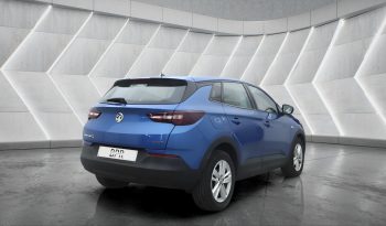 
										VAUXHALL GRANDLAND full									