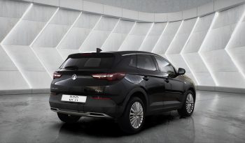 
										VAUXHALL GRANDLAND full									