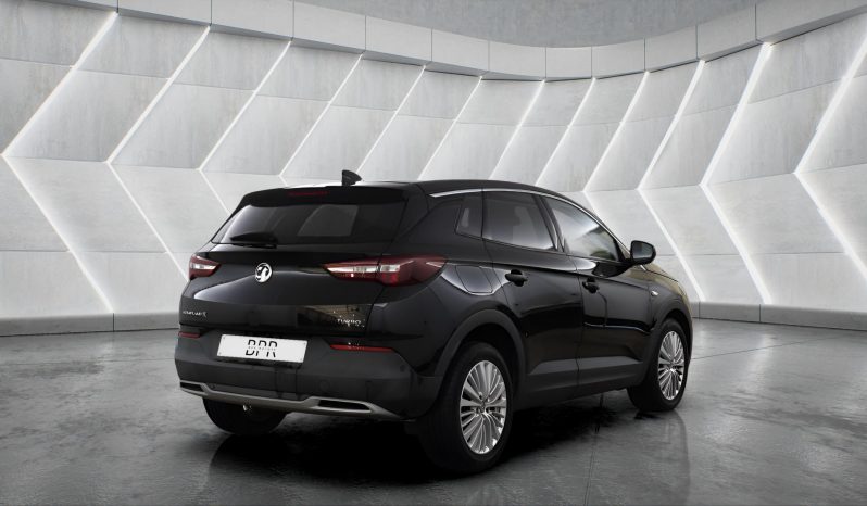 
								VAUXHALL GRANDLAND full									