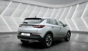 
										VAUXHALL GRANDLAND full									