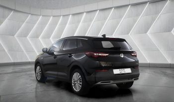 
										VAUXHALL GRANDLAND full									