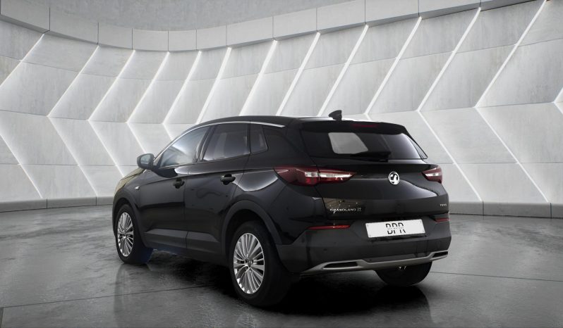 
								VAUXHALL GRANDLAND full									