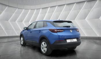 
										VAUXHALL GRANDLAND full									