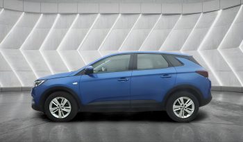 
										VAUXHALL GRANDLAND full									