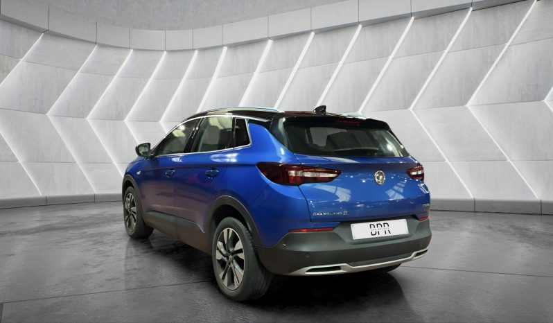 
								VAUXHALL GRANDLAND full									