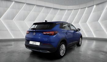 
										VAUXHALL GRANDLAND full									