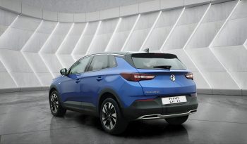 
										VAUXHALL GRANDLAND full									